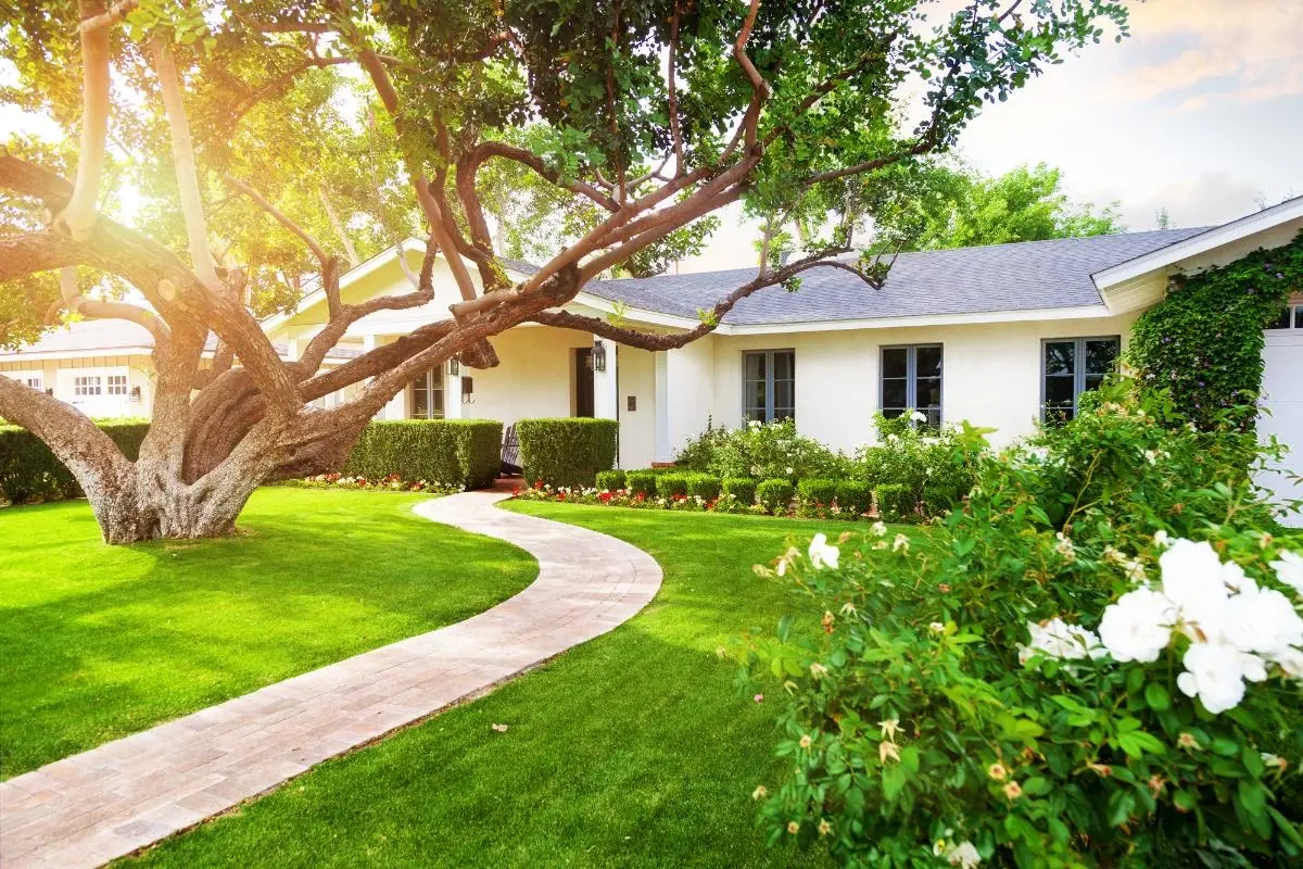 Sustainable Landscaping: Transforming Your Yard into a Green Space