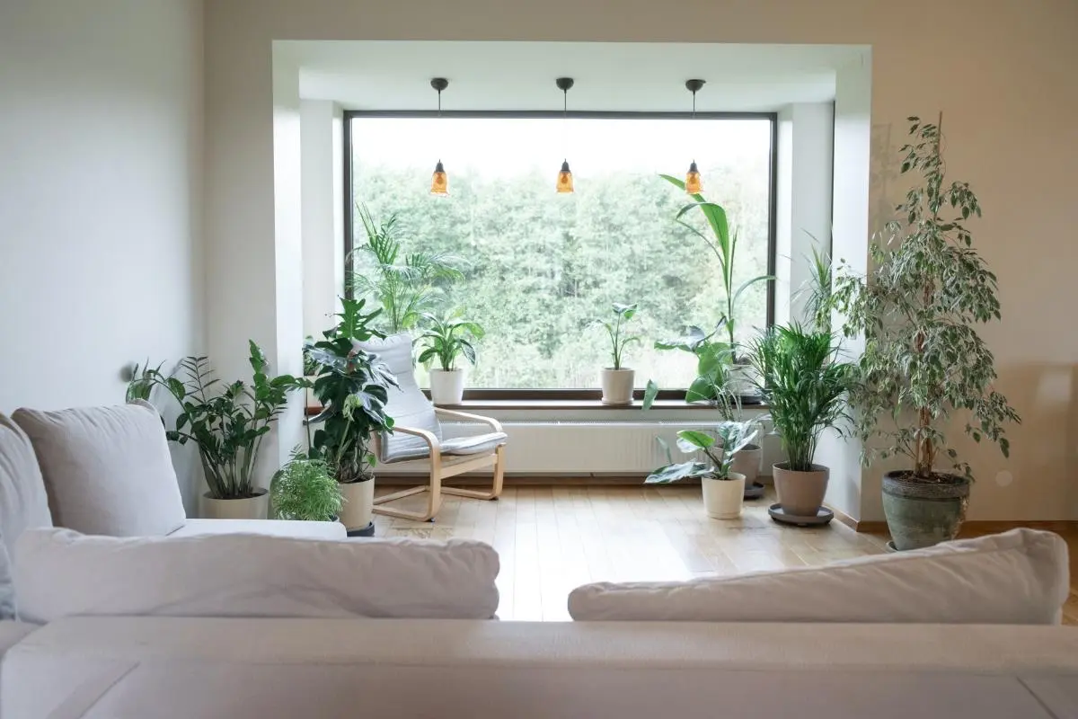 The Importance of Natural Lighting in Sustainable Homes