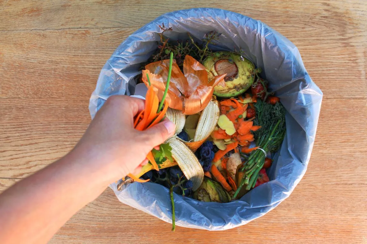 Recycling Food Waste: A Path to Sustainability